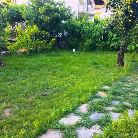 Affittacamere Alpin *